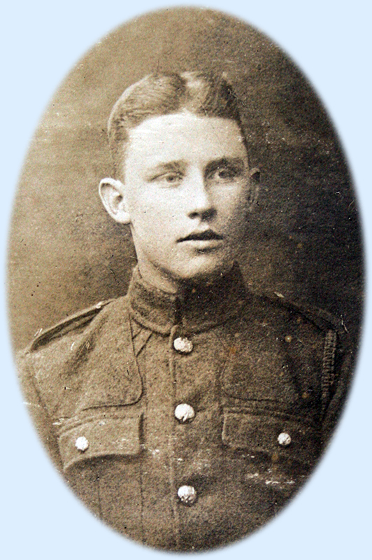 Thomas Amis from the Cromer War Roll Thomas Amis from the Cromer War Roll